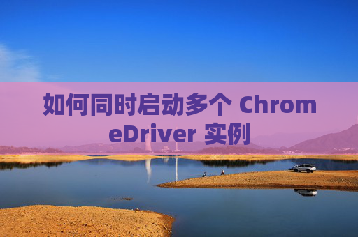 如何同时启动多个 ChromeDriver 实例