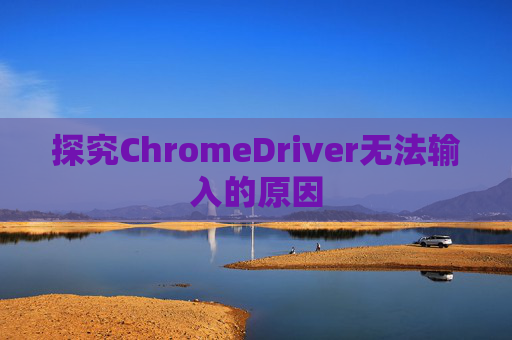 探究ChromeDriver无法输入的原因